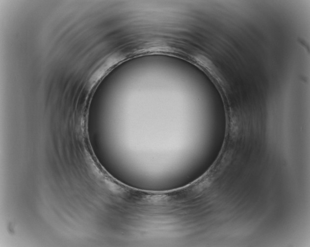 X0000100881282200806201237