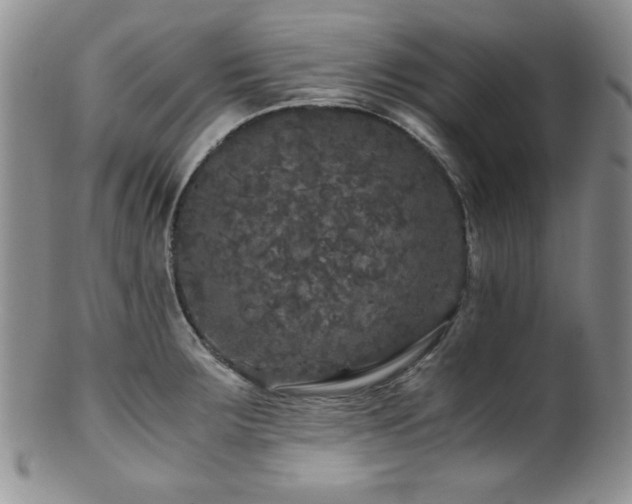 X0000100881283200806201237