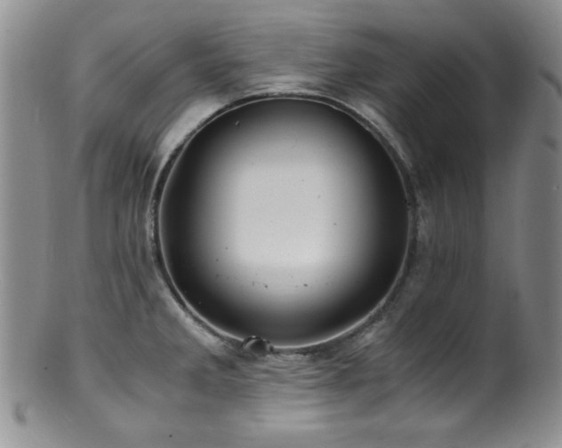 X0000100881285200806201237