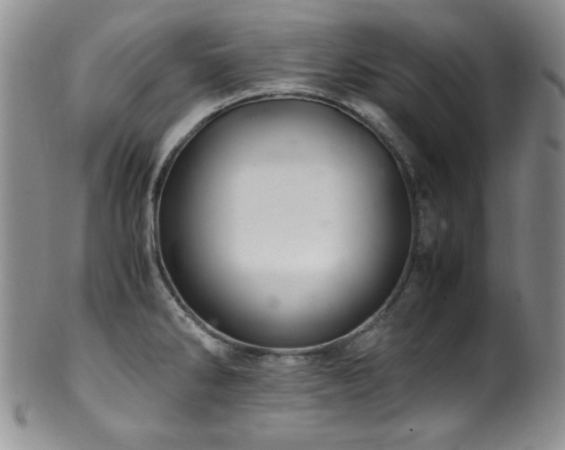 X0000100881286200806201237