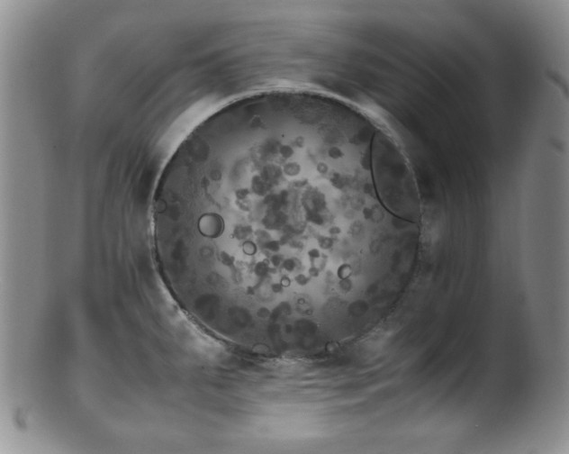 X0000100881287200806201237