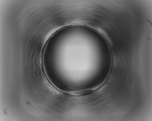 X0000100881288200806201237