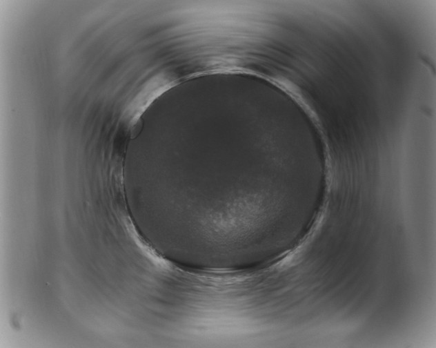 X0000100881289200806201237