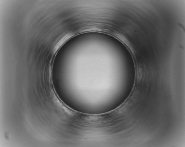 X0000100881290200806201237