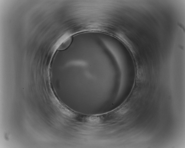 X0000100881291200806201237