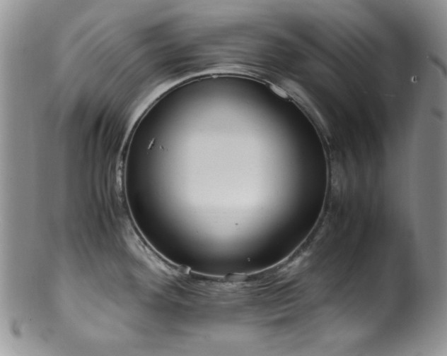 X0000100881292200806201237