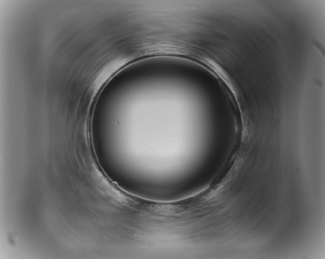 X0000100881293200806201237