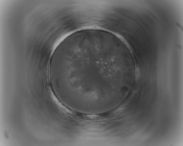 X0000100881295200806201237