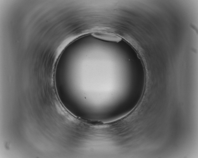 X0000100881296200806201237
