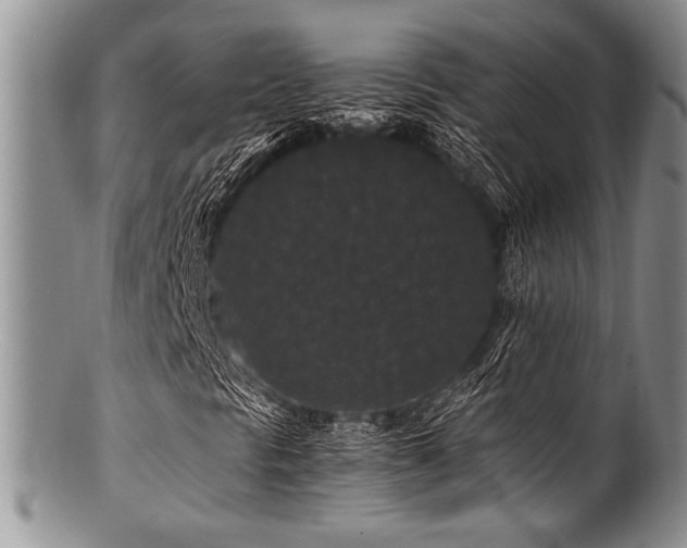 X0000100881297200806201236
