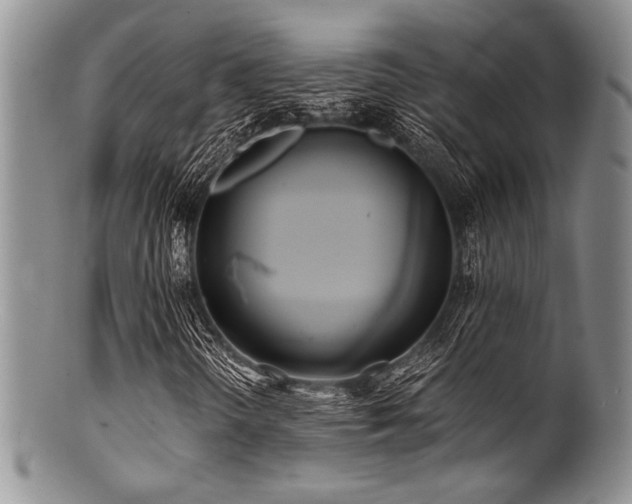 X0000100881298200806201236