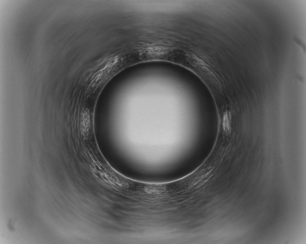 X0000100881299200806201236