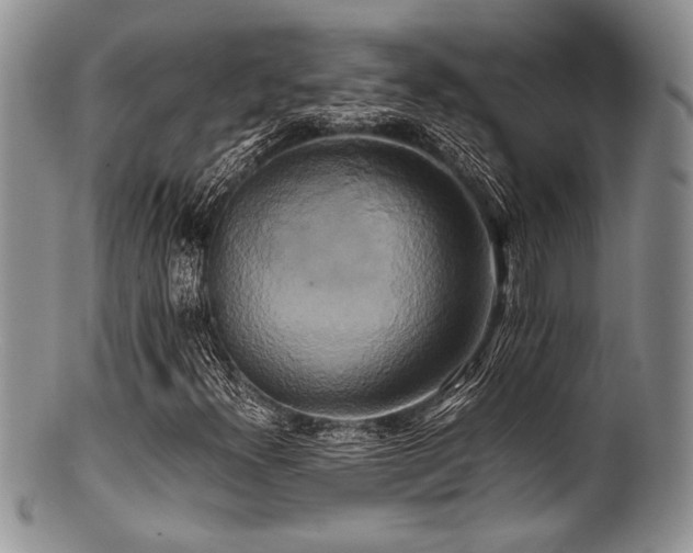 X0000100881300200806201236