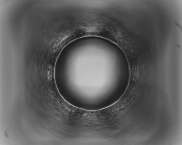 X0000100881301200806201236