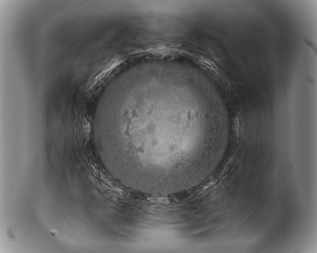X0000100881302200806201236