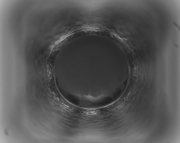 X0000100881303200806201236