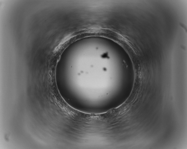 X0000100881304200806201236