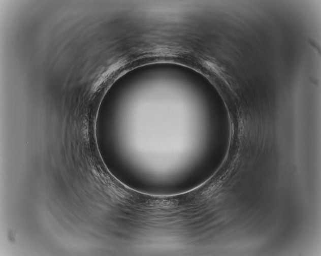 X0000100881307200806201237