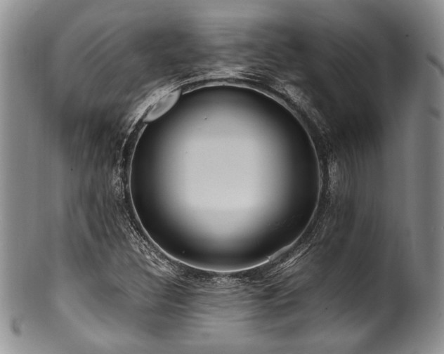 X0000100881308200806201237