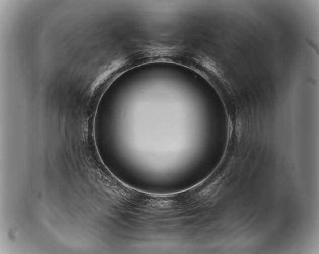 X0000100881309200806201237