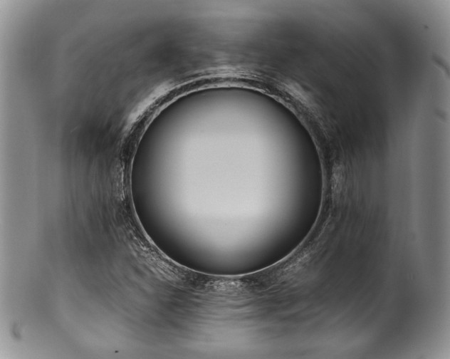 X0000100881310200806201237