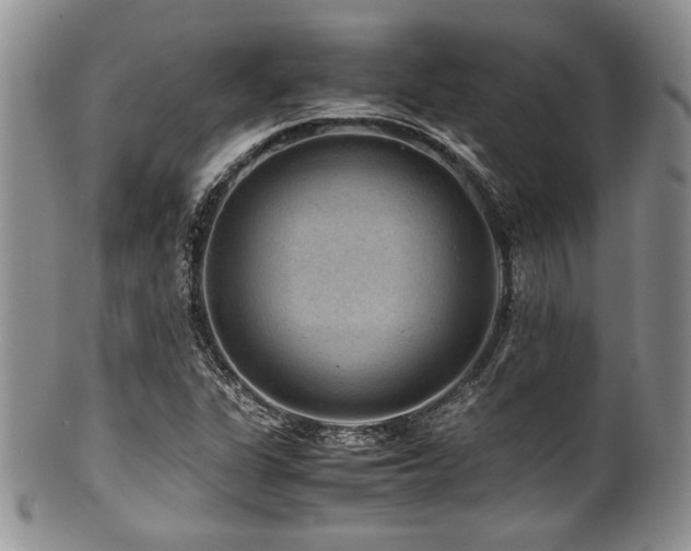 X0000100881311200806201237