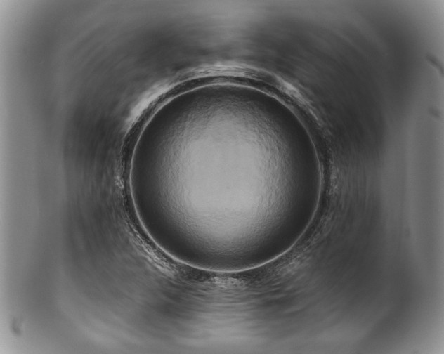 X0000100881312200806201237
