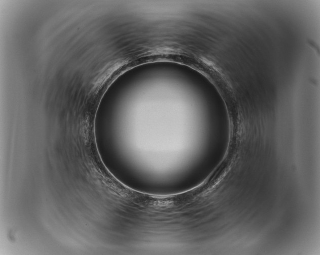 X0000100881313200806201237