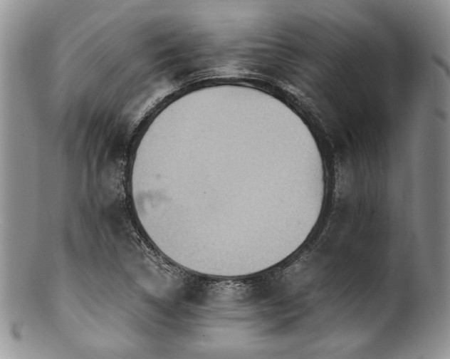 X0000100881314200806201237