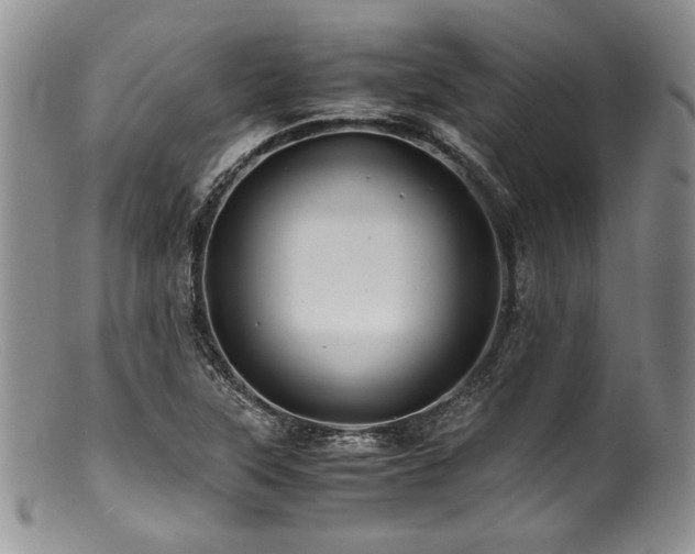 X0000100881315200806201237