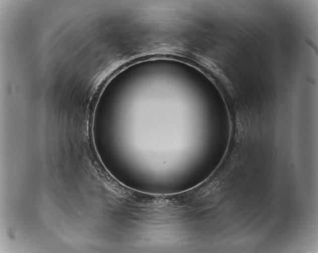 X0000100881316200806201237