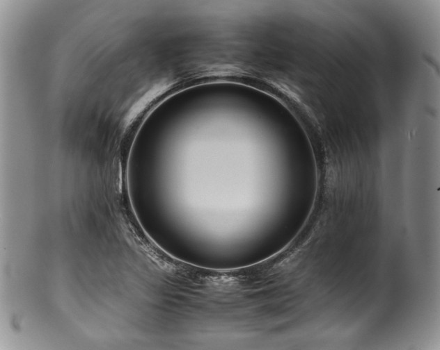 X0000100881317200806201237