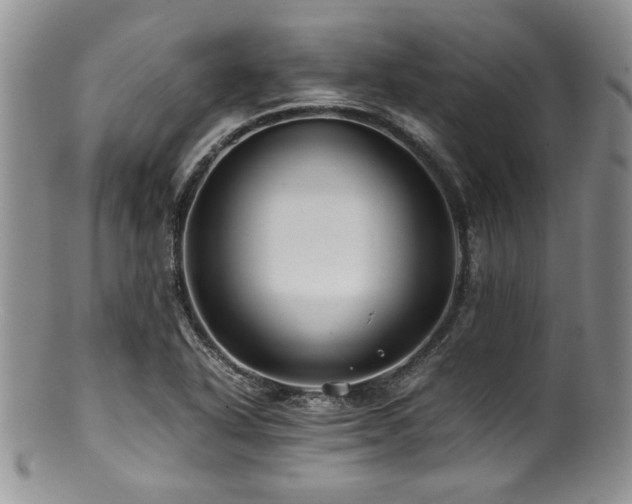 X0000100881318200806201237