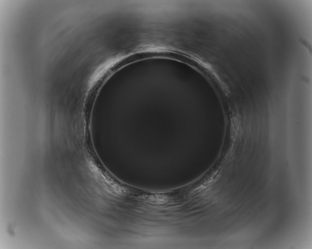 X0000100881319200806201237