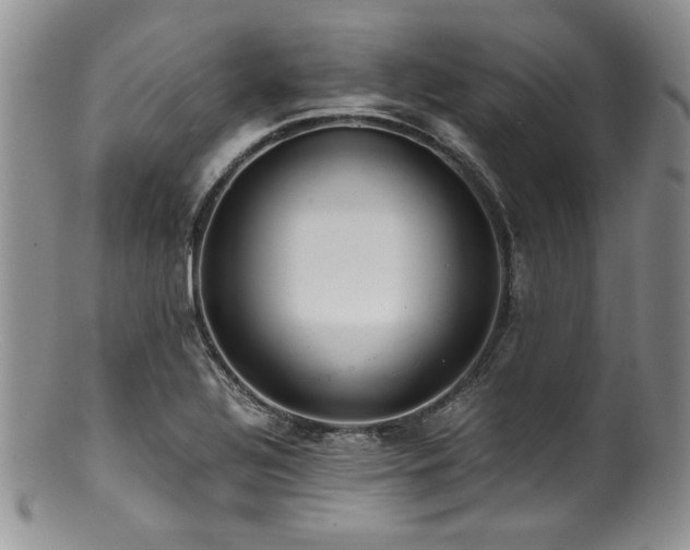 X0000100881320200806201237