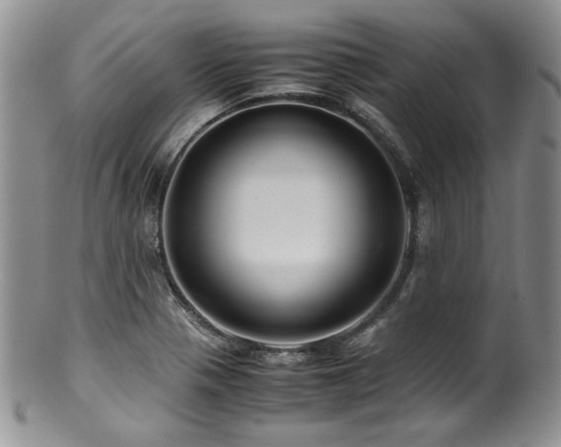 X0000100881321200806201237