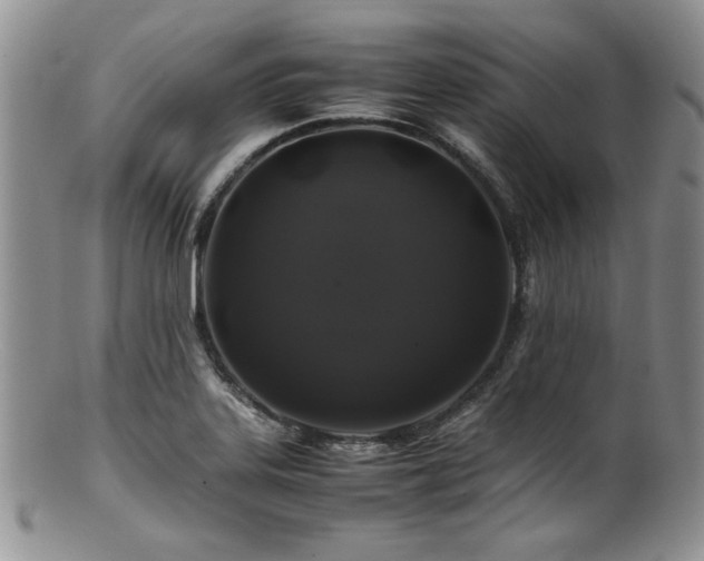 X0000100881323200806201237