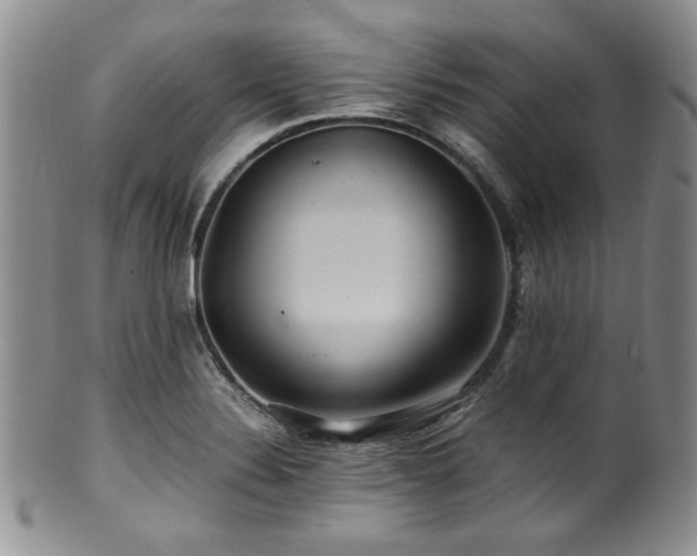 X0000100881324200806201237