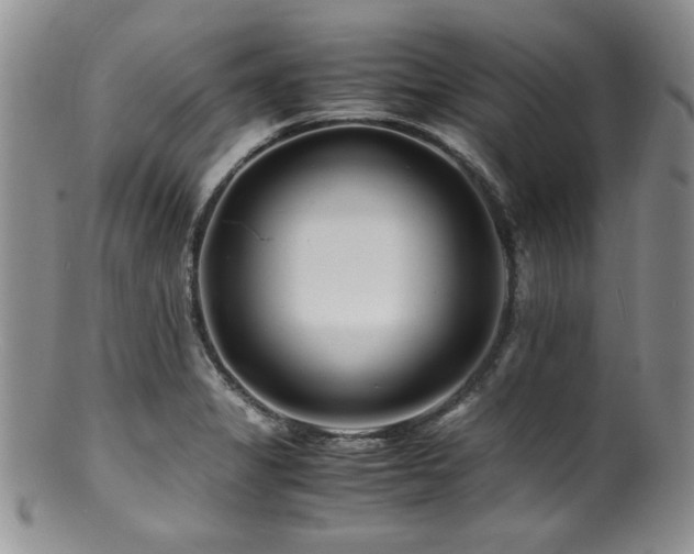 X0000100881325200806201237