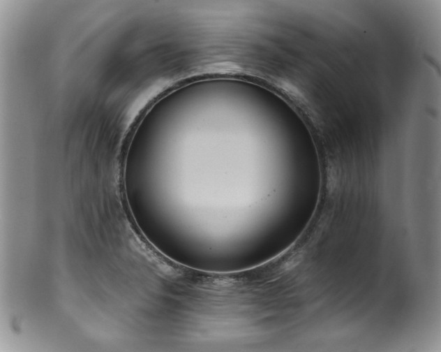 X0000100881326200806201237