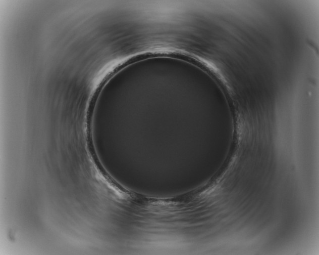 X0000100881327200806201237