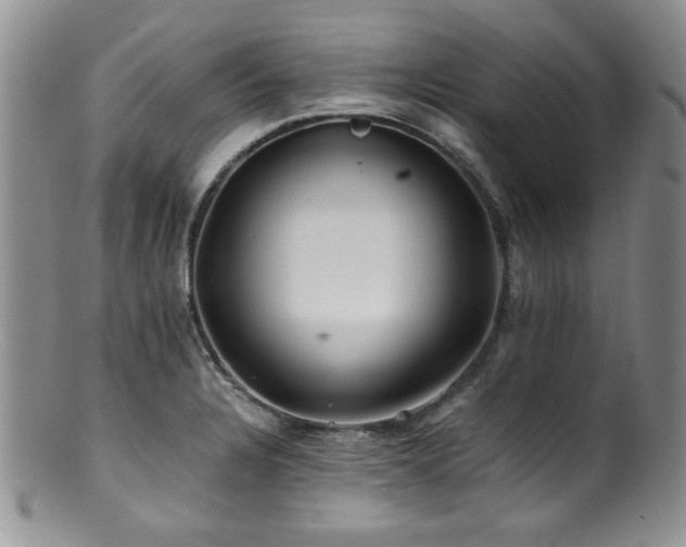X0000100881328200806201237