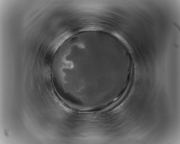 X0000100881329200806201237