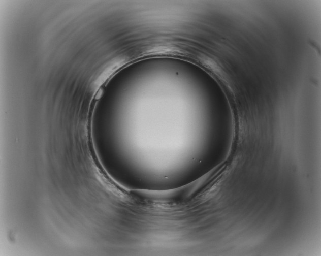 X0000100881330200806201237