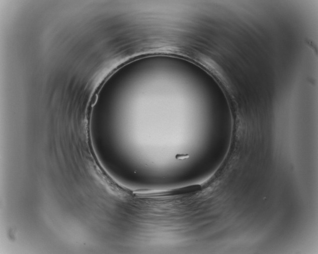 X0000100881332200806201237