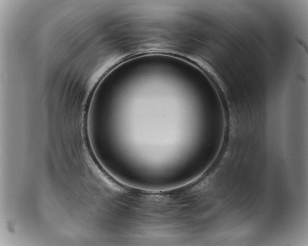 X0000100881333200806201237