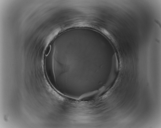 X0000100881334200806201237