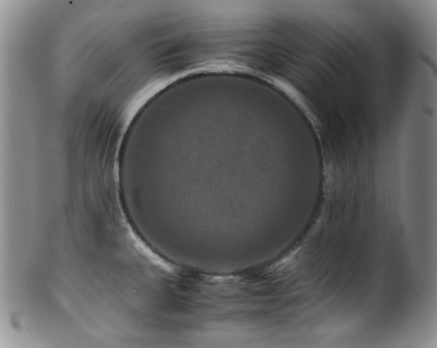 X0000100881335200806201237