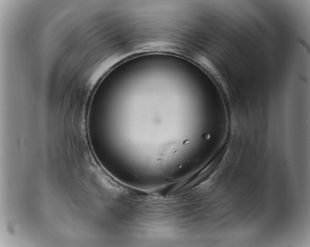 X0000100881336200806201237