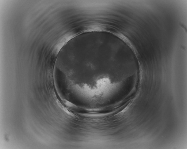 X0000100881337200806201237